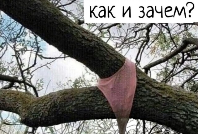 Так себе картинки 21.06.26
