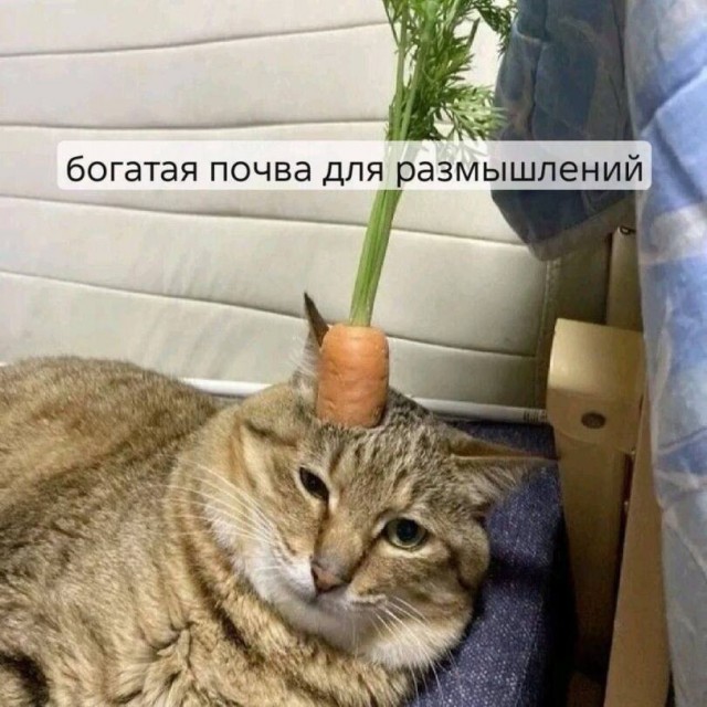Эбокартинки с эбонадписями