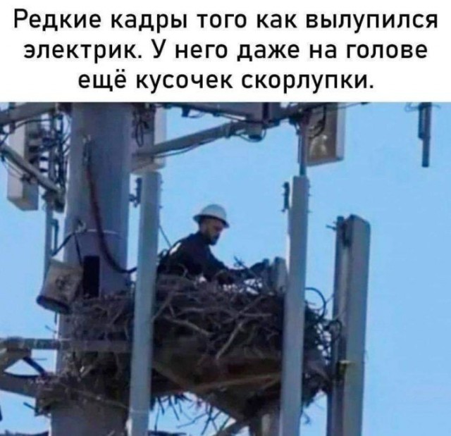 Картинки на среду