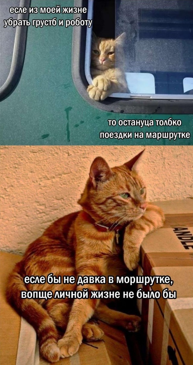 Веселое настроение в картинках 18.08.26