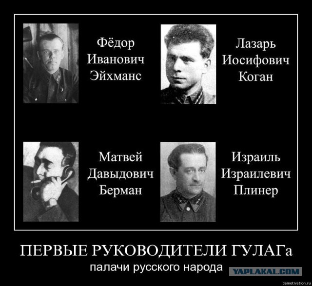 Похожи, как братья!