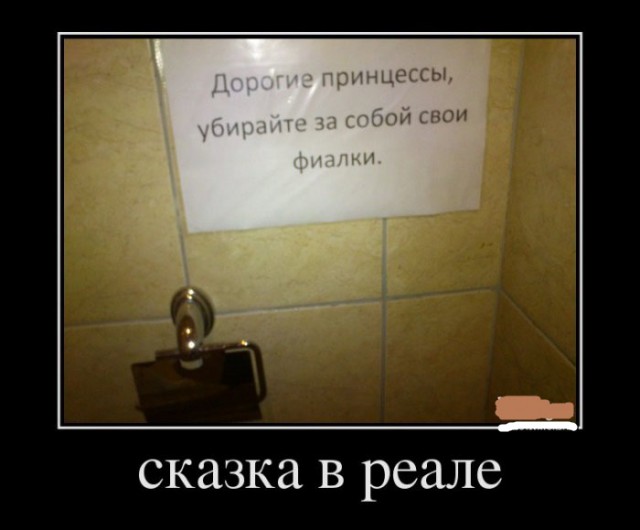 Приколы и маразмы 2