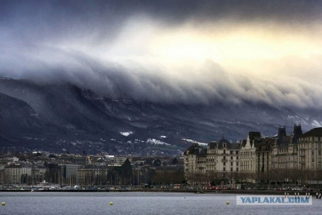 28 самых удачных кадров февраля