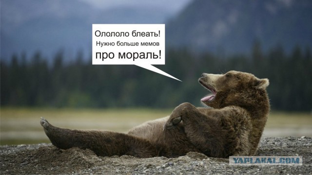 Новый мидвет!