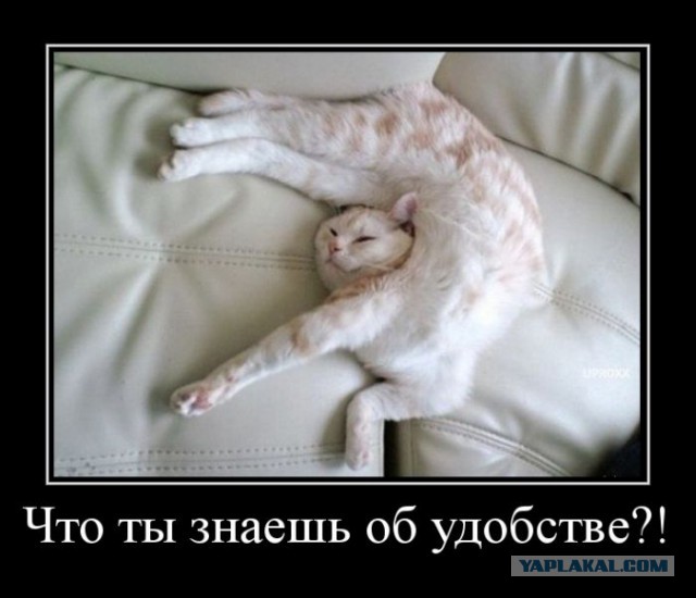 Просто картинки