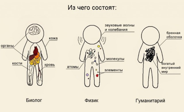 О чем шутят ученые
