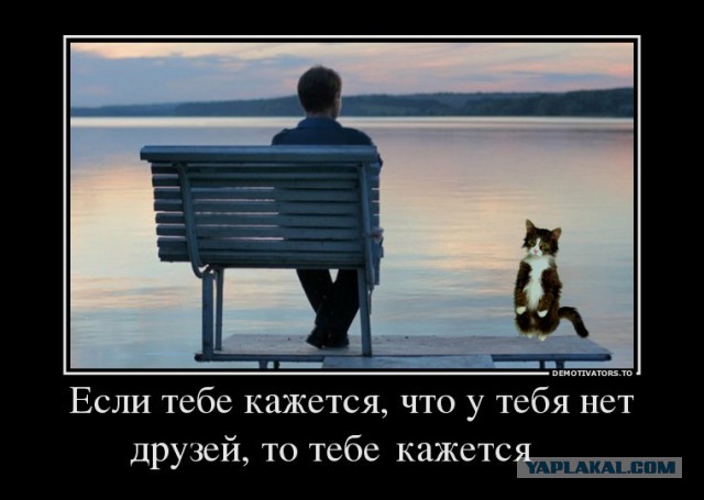 Вы хотите "демов"? часть 2-я