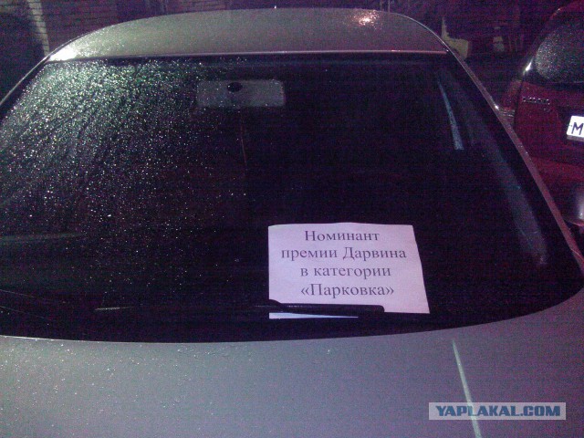 Веселые картинки