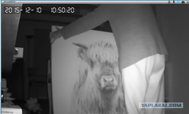 За что я люблю китайцев