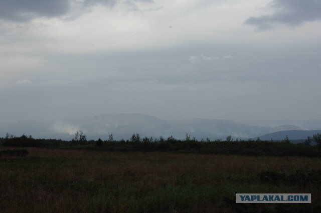 Прогулка.