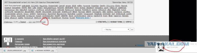 У меня грустные новости для соЯПовца. Слава Новиков тут есть?