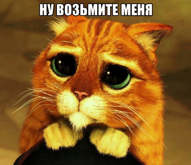 Мысли вслух про "это"...