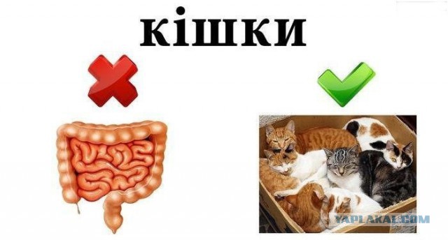 На Украине придумали новый язык для животных.