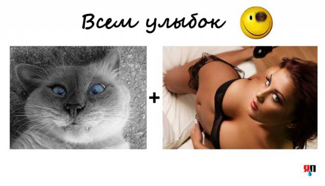 Пошлые анекдоты (18+)