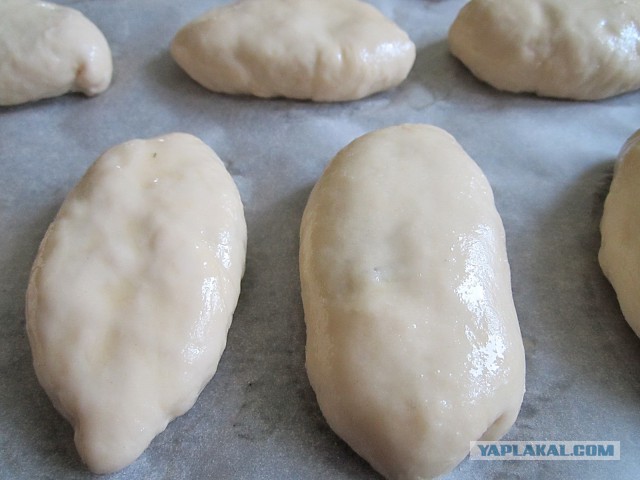 Фастфуд-пикник на день рождения ЯПа