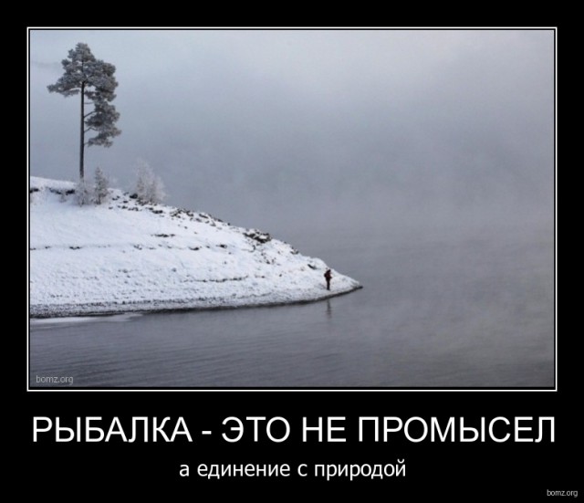 Картинки из сети