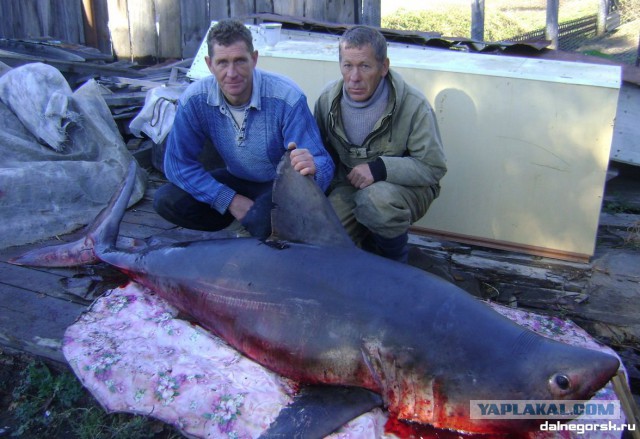 Магадан, старые и новые фотки