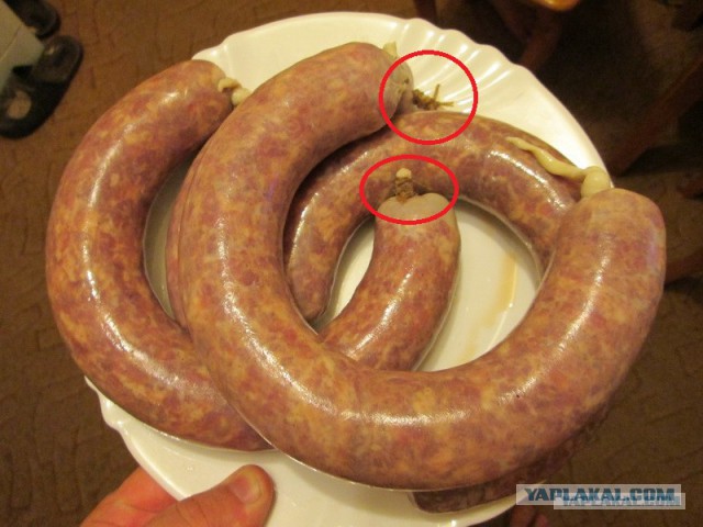 Кухня (кулинарное и околокулинарное общение)