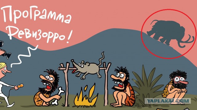 "Ревизорро" от Ёлкина