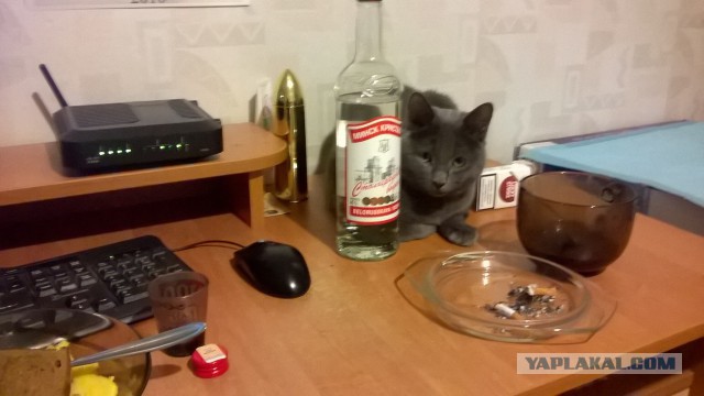 Я предал друга...