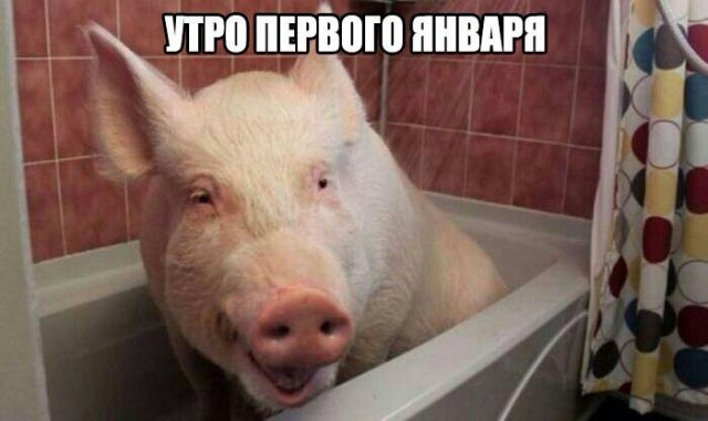 Одиночество в Новый Год