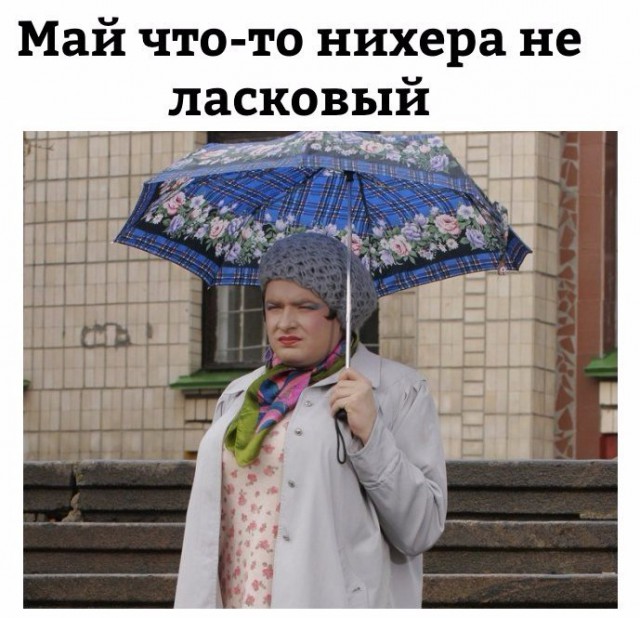 Подборка безудержного веселья