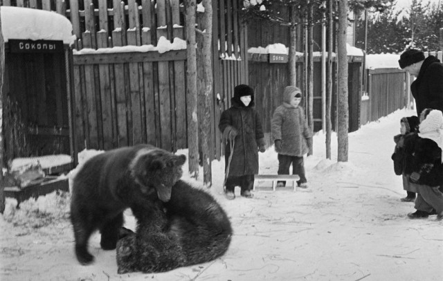 Подборка интересных и веселых картинок