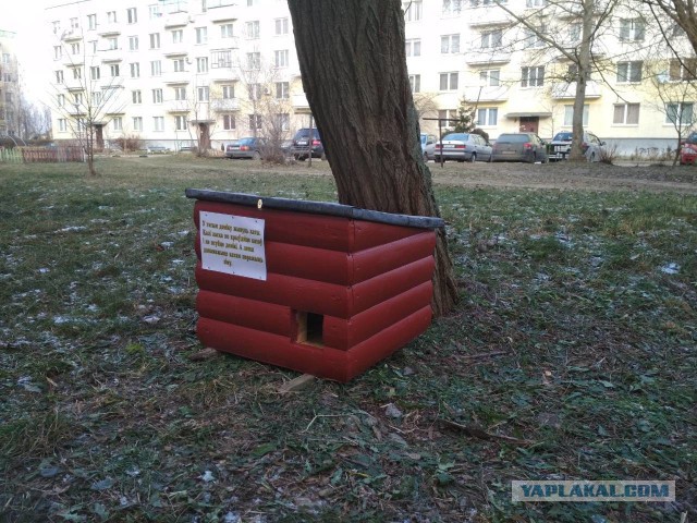 Вот такая милота появилась в беларуском городе Кобрин