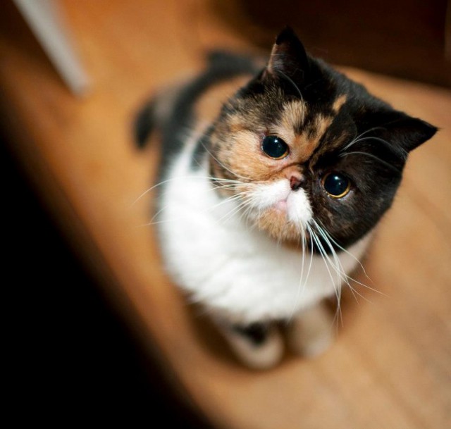 Январское путешествие в "Европу"