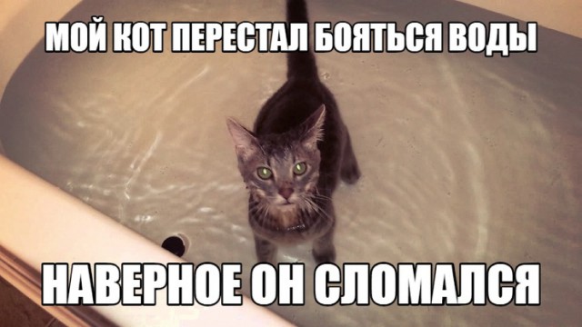 Прикольные картинки обо всем