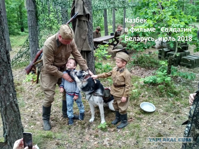 Наш щенок продолжит династию киноартистов