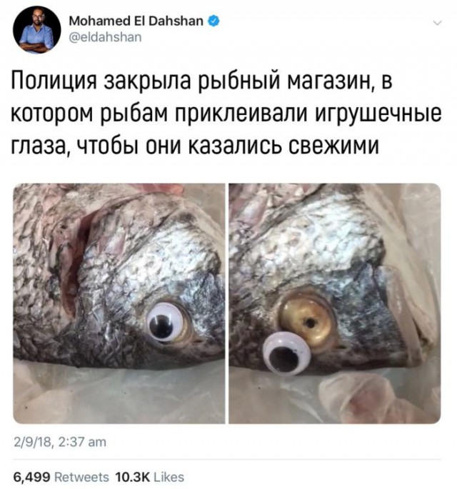 Хоба! Подвезли воскресную чернуху!