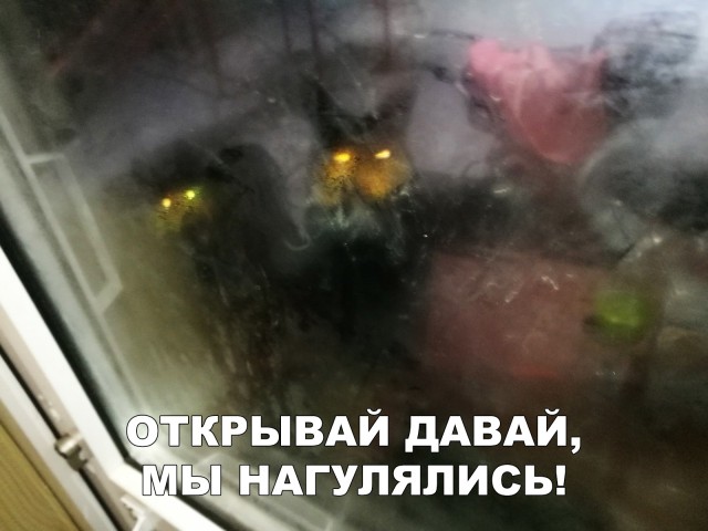 Нестандартный юмор