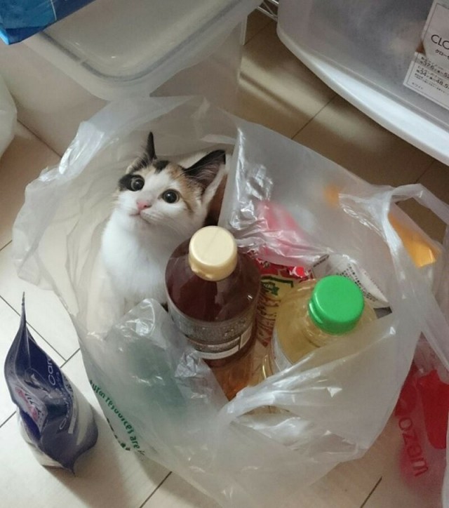 Просто фото 2019/09/09
