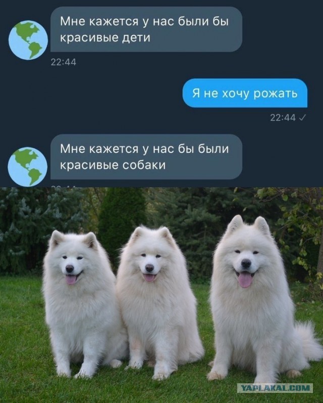 Бредзона