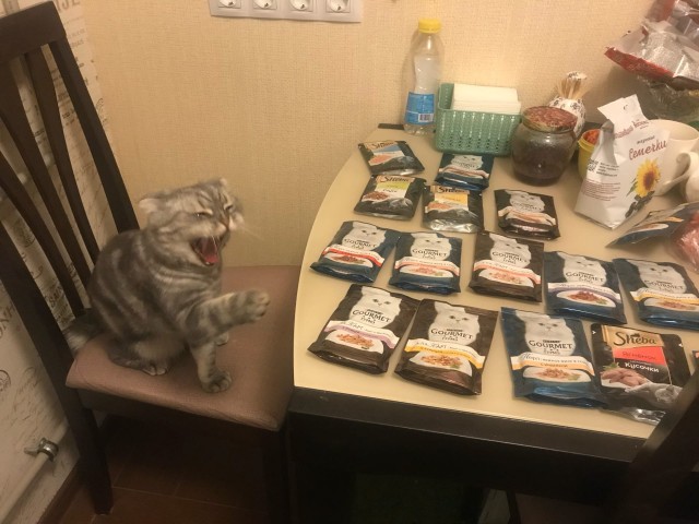 Эти забавные животные