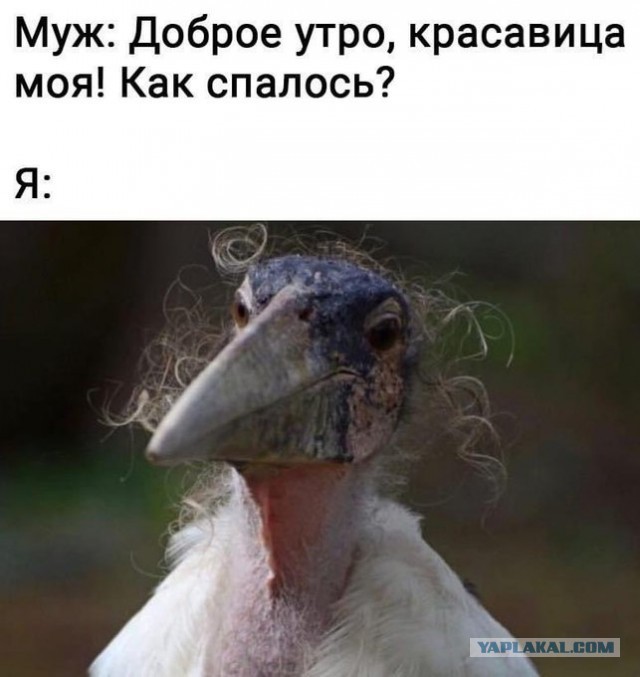 Бредзона 20.10.2020