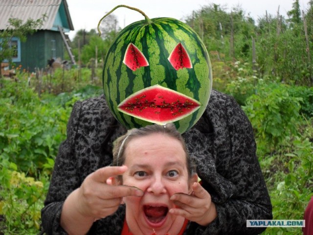 Фотожаба: Принцесса ФИОНА