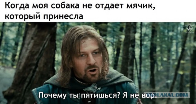 Моя подборка картинок для любимого сайта с любимого сайта