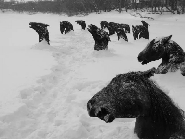 Морозно однако!
