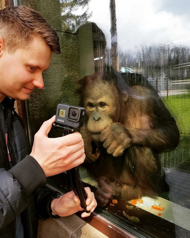 Калейдоскоп картинок