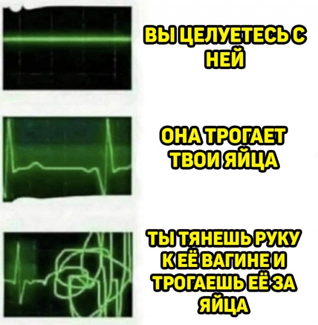 Весёлый полтишок 15.06.