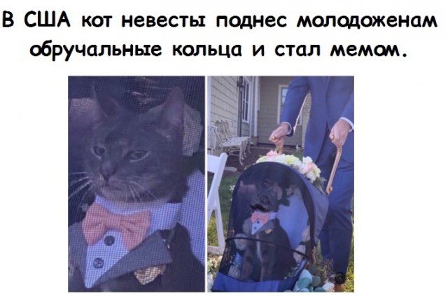 Здесь будет Петербург