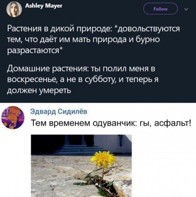 Так себе картинки 13.11.21