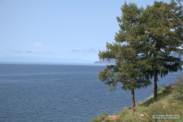Байкал 2010