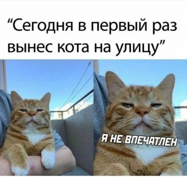Картинки и мемы для настроения  -  9