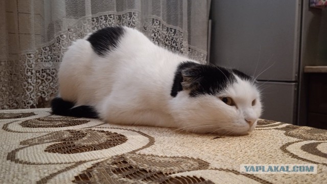 Разрушен драмтеатр Мариуполя, внутри было от 1000 до 3000 человек