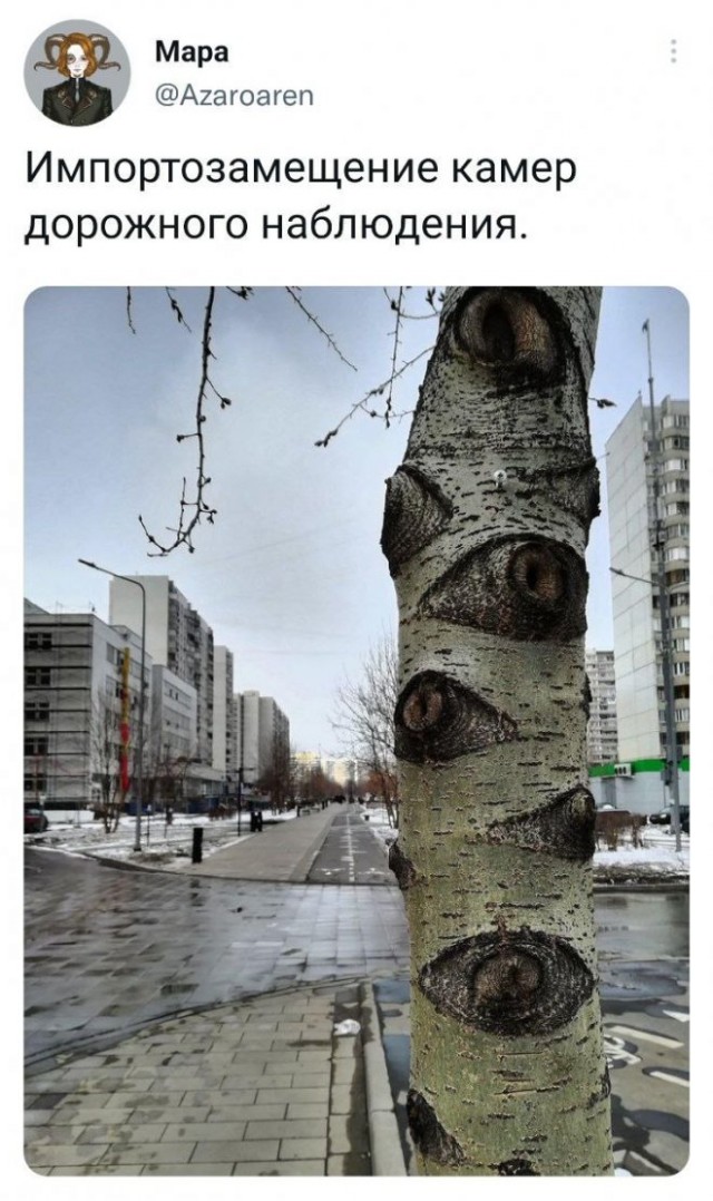 Картинки и мемы, всем хороших выходных