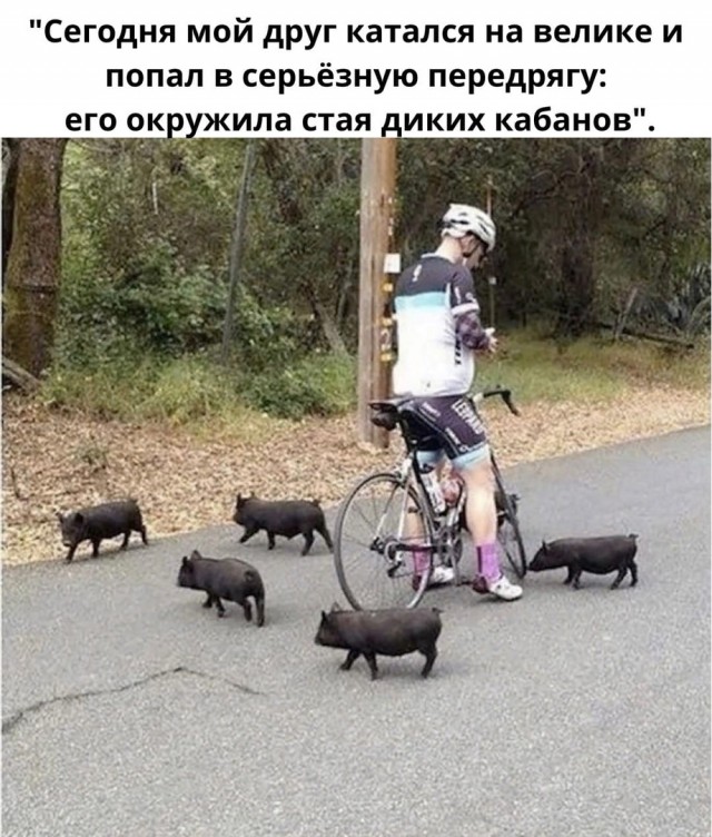 Так себе картинки 24.04.22