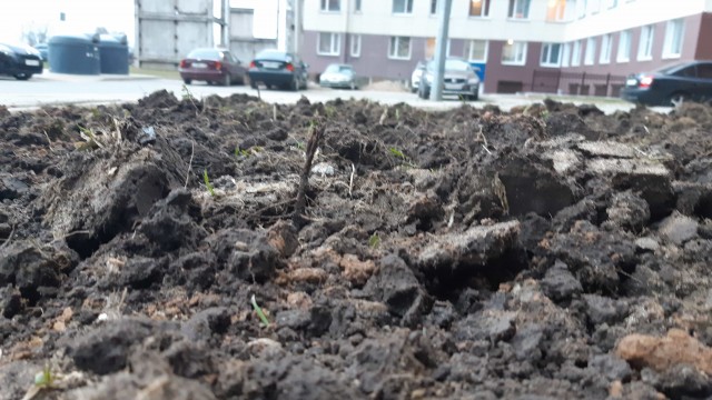 Девушки с длинным маникюром как вы мастурбируете?